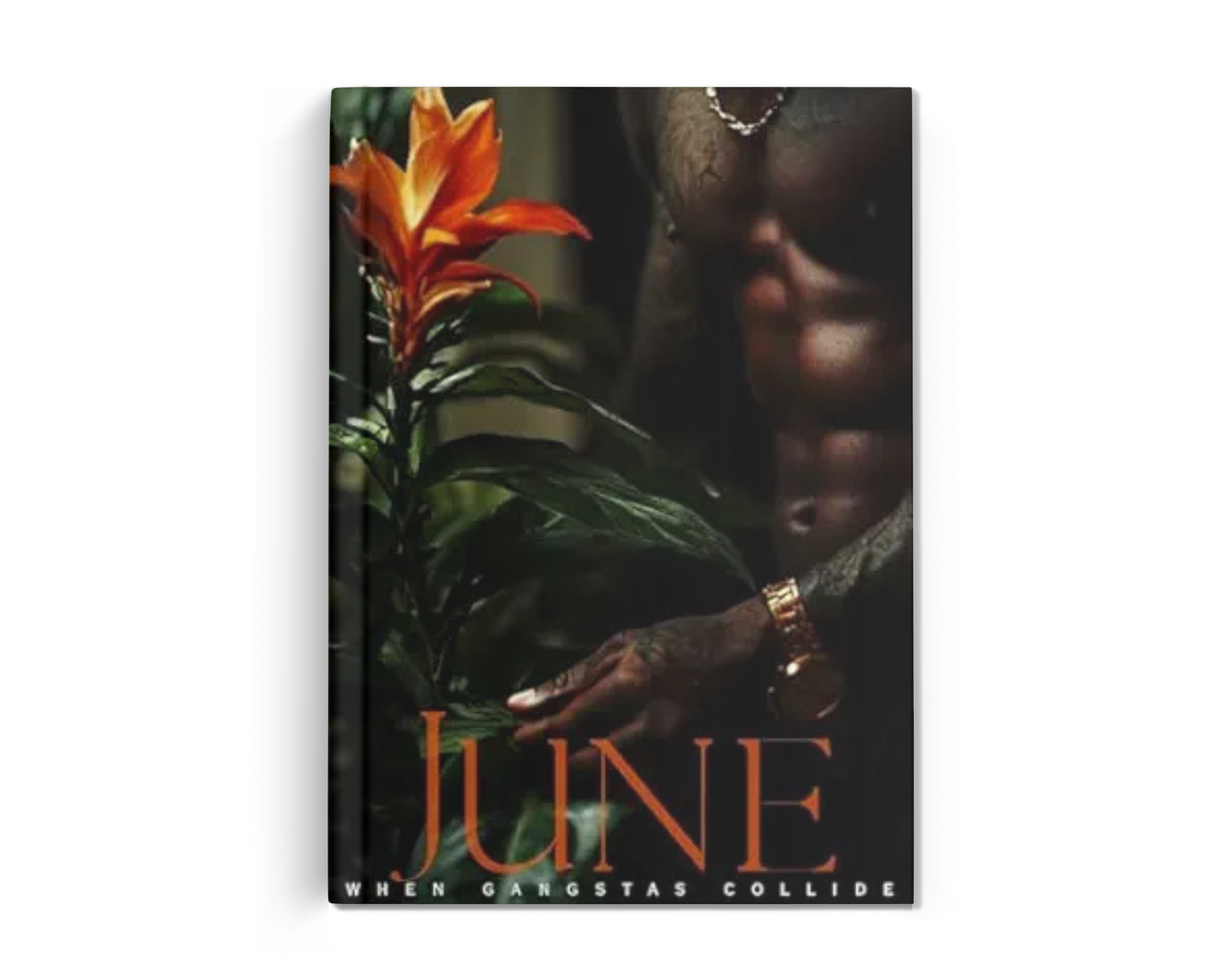 JUNE - PAPERBACK
